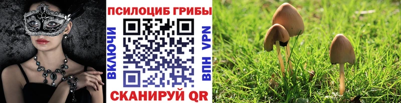 Галлюциногенные грибы мицелий  Кимры 