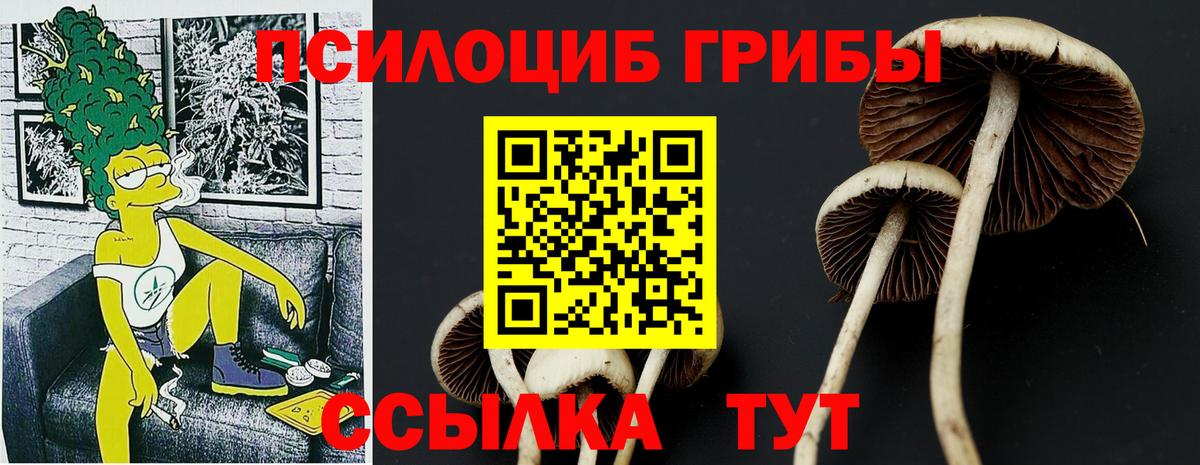 Галлюциногенные грибы прущие грибы  Вход с VPN  как найти закладки  Кимры 
