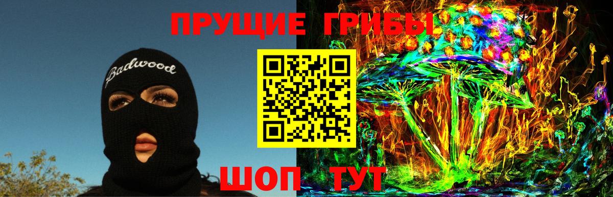 Псилоцибиновые грибы Cubensis Кимры