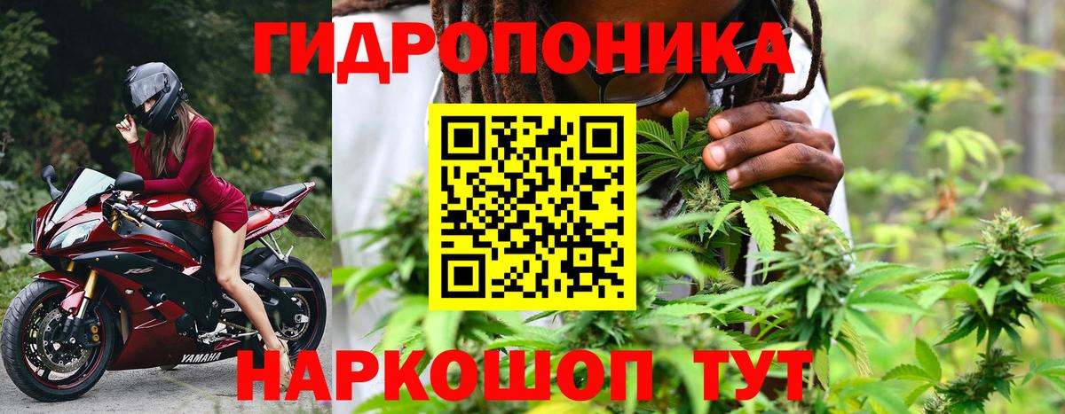 Бошки марихуана SATIVA & INDICA  Вход с VPN  Бошки Шишки индика  Кимры  Конопля гибрид 