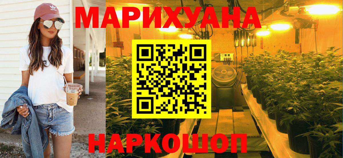Каннабис планчик Кимры